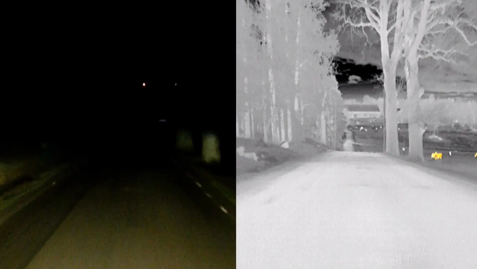 Dynamic Light Spot night vision system